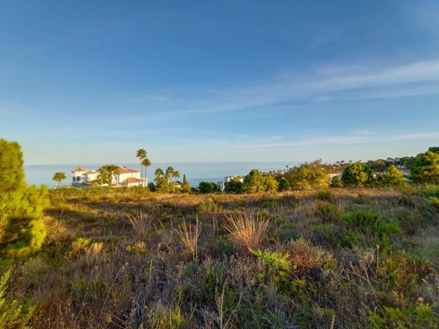 Plot in Manilva