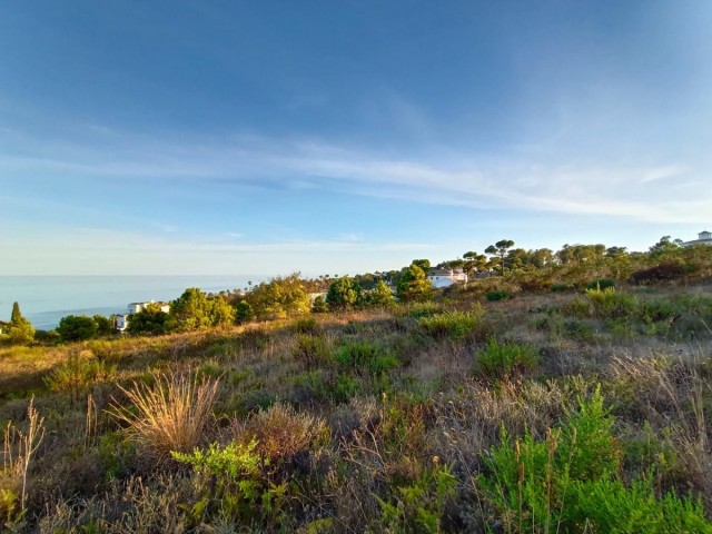  Plot in Manilva