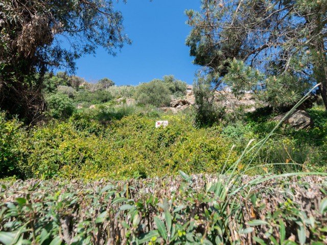  Plot in Manilva