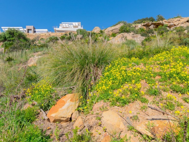  Plot in Manilva
