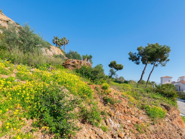  Plot in Manilva