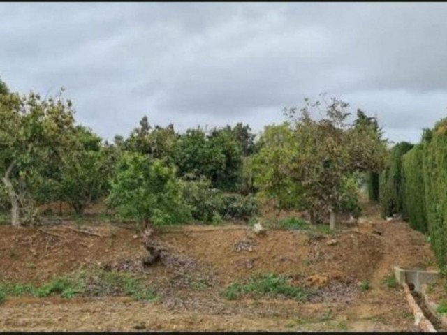 3 Sovrums Villa i Campo Mijas