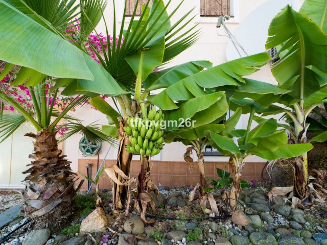 7 Soveroms Villa i Estepona