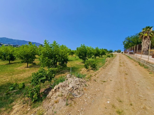 1 Slaapkamer Villa in Las Lagunas