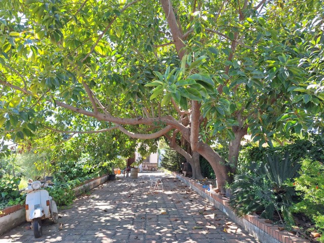 3 Slaapkamer Villa in Estepona