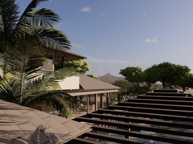  Tontti Marbella