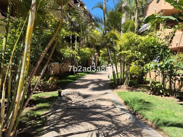 2 Bedrooms Apartment in El Rosario