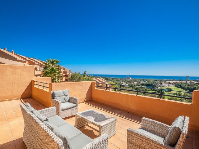 Penthouse, Elviria