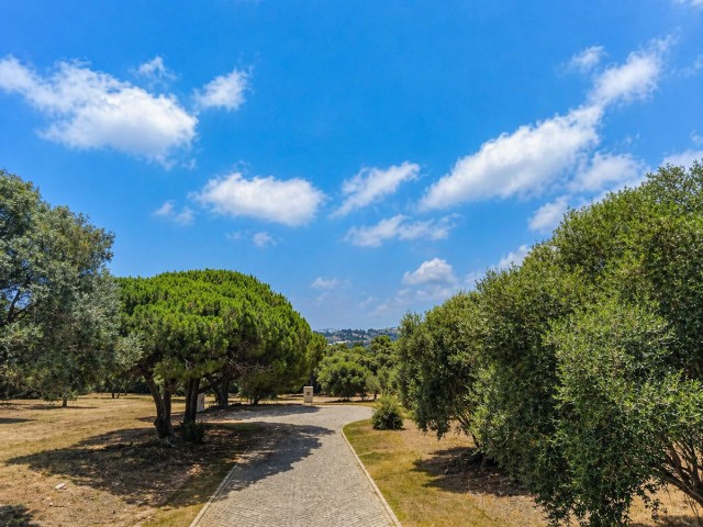  Plot in Sotogrande Alto