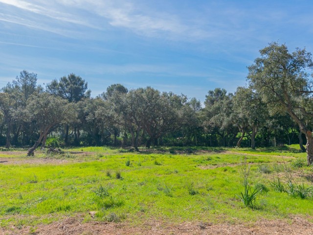  Plot in Sotogrande Alto