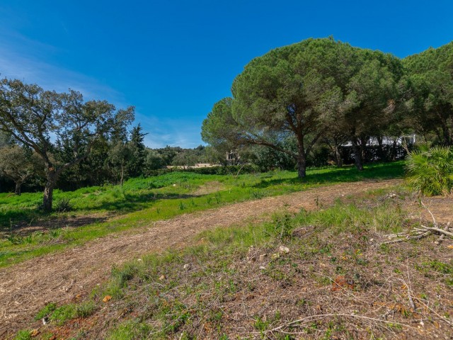  Plot in Sotogrande Alto