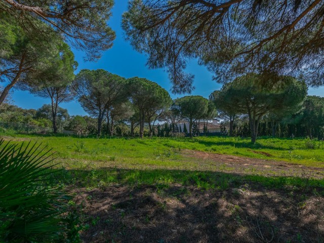  Plot in Sotogrande Alto