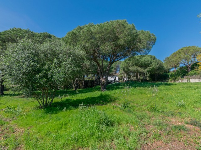  Plot in Sotogrande Alto