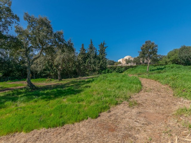  Plot in Sotogrande Alto