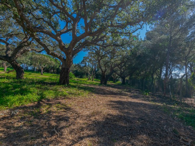  Plot in Sotogrande Alto