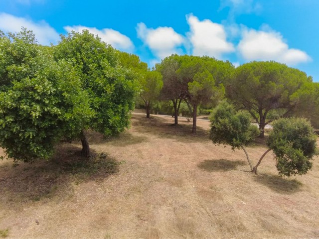  Plot in Sotogrande Alto