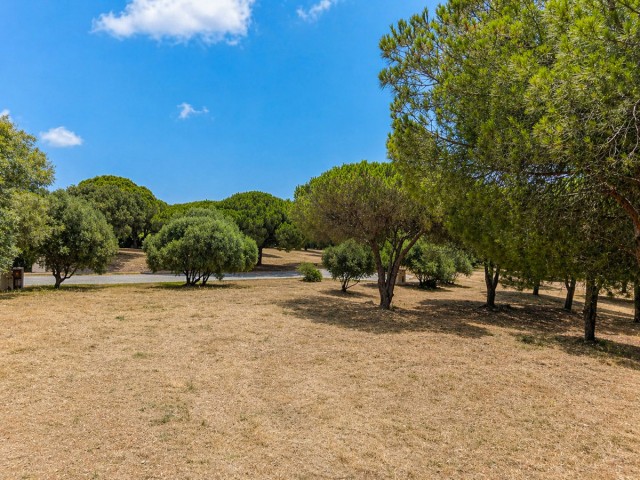  Plot in Sotogrande Alto