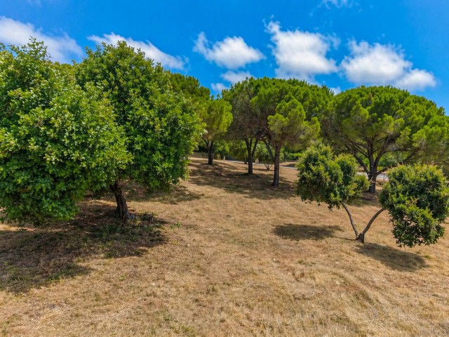  Plot in Sotogrande Alto