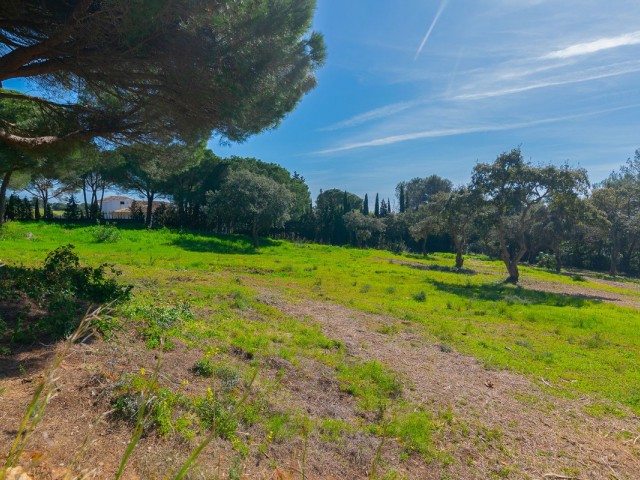  Plot in Sotogrande Alto