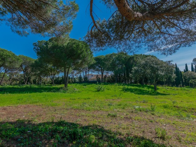  Plot in Sotogrande Alto