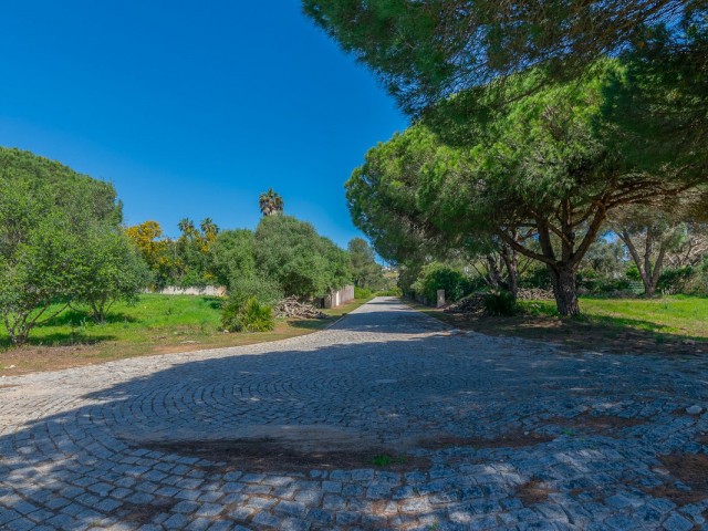  Plot in Sotogrande Alto