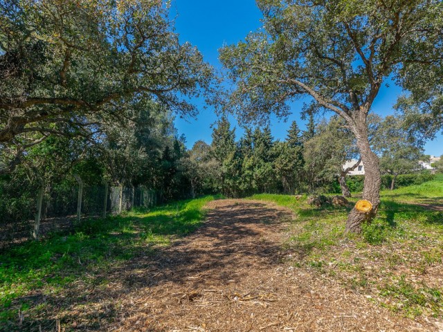  Plot in Sotogrande Alto