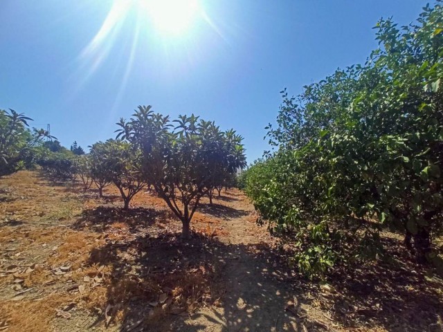 3 Bedrooms Villa in Estepona