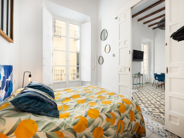 4 Bedrooms Apartment in Málaga Centro