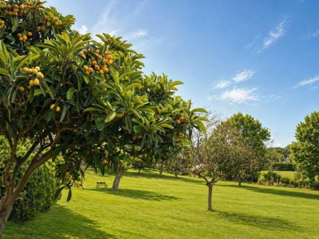 2 Slaapkamer Appartement in Estepona