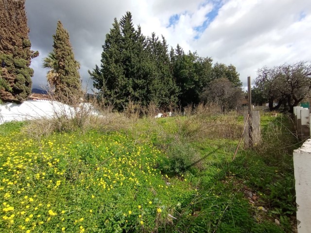 Perceel, Marbella