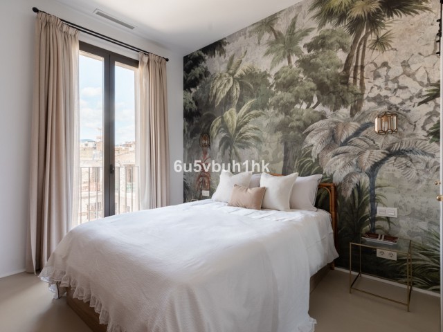 1 Bedrooms Apartment in Málaga