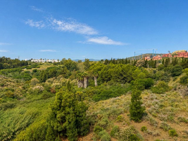 Penthouse, El Chaparral, R5371609