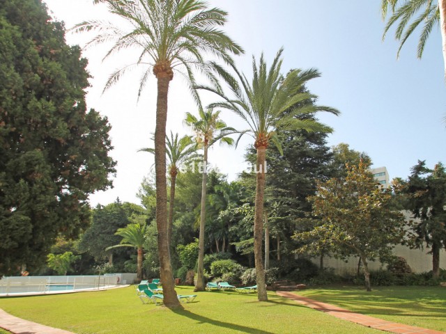 1 Bedrooms Apartment in The Golden Mile