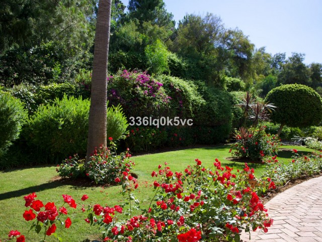 Huoneisto, Los Arqueros, R5389096