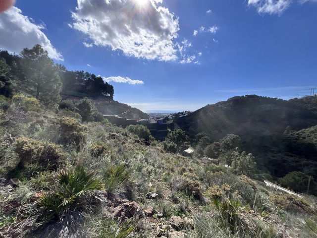 Grundstück, El Madroñal, R5431321