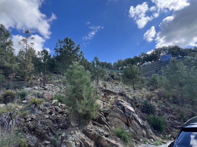 Grundstück, El Madroñal, R5431321
