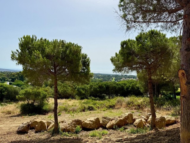  Grundstück in Sotogrande Alto