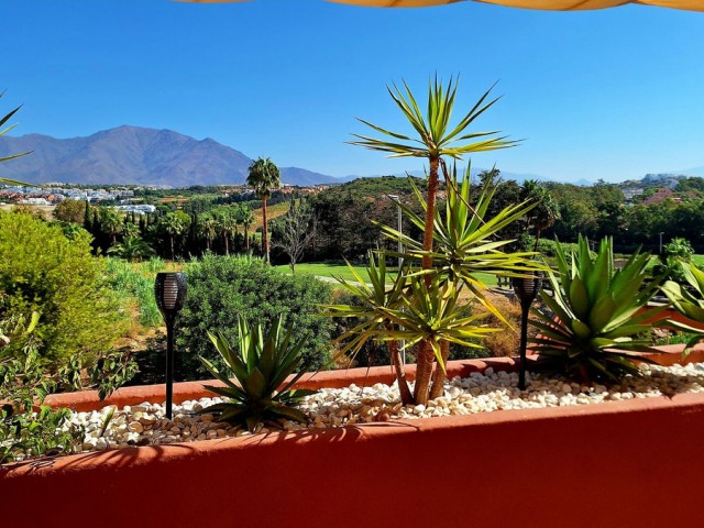 Penthouse in Casares Playa