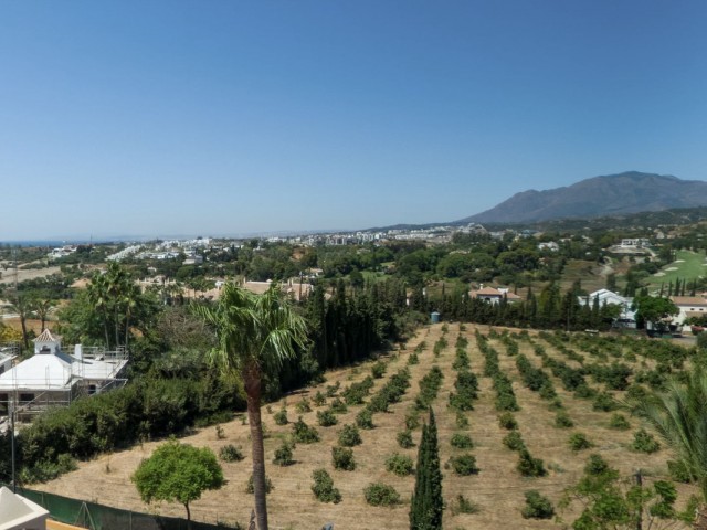 Penthouse avec 2 Chambres  à Bel Air