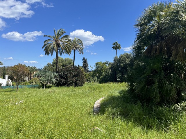Parcelle, Sotogrande Costa, R5492746