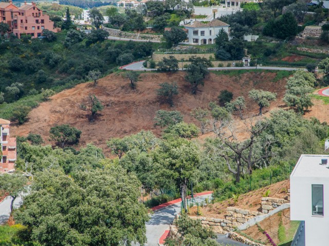  Plot in La Mairena