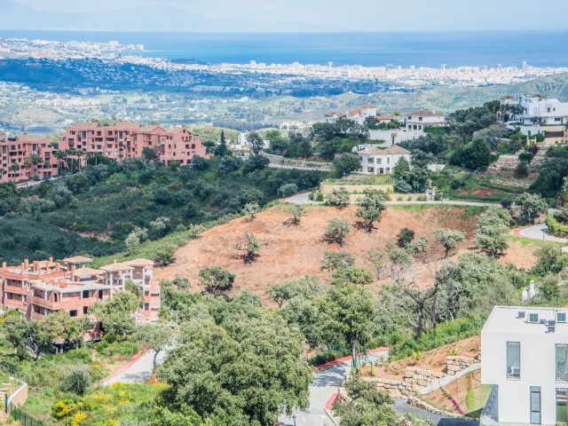  Plot in La Mairena