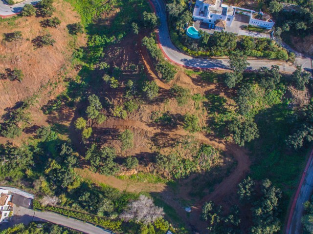  Plot in La Mairena